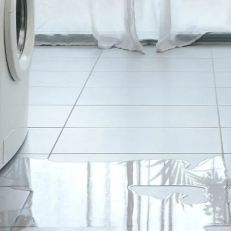 Appliance Leak Cleanup in Candler County, GA