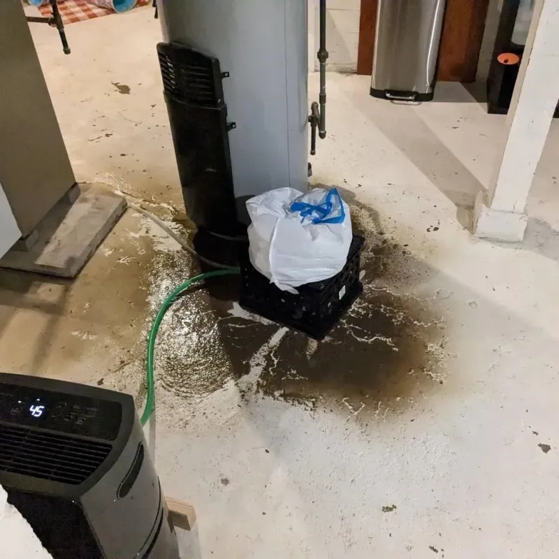 Sewage Backup Cleanup Service in Candler County, GA